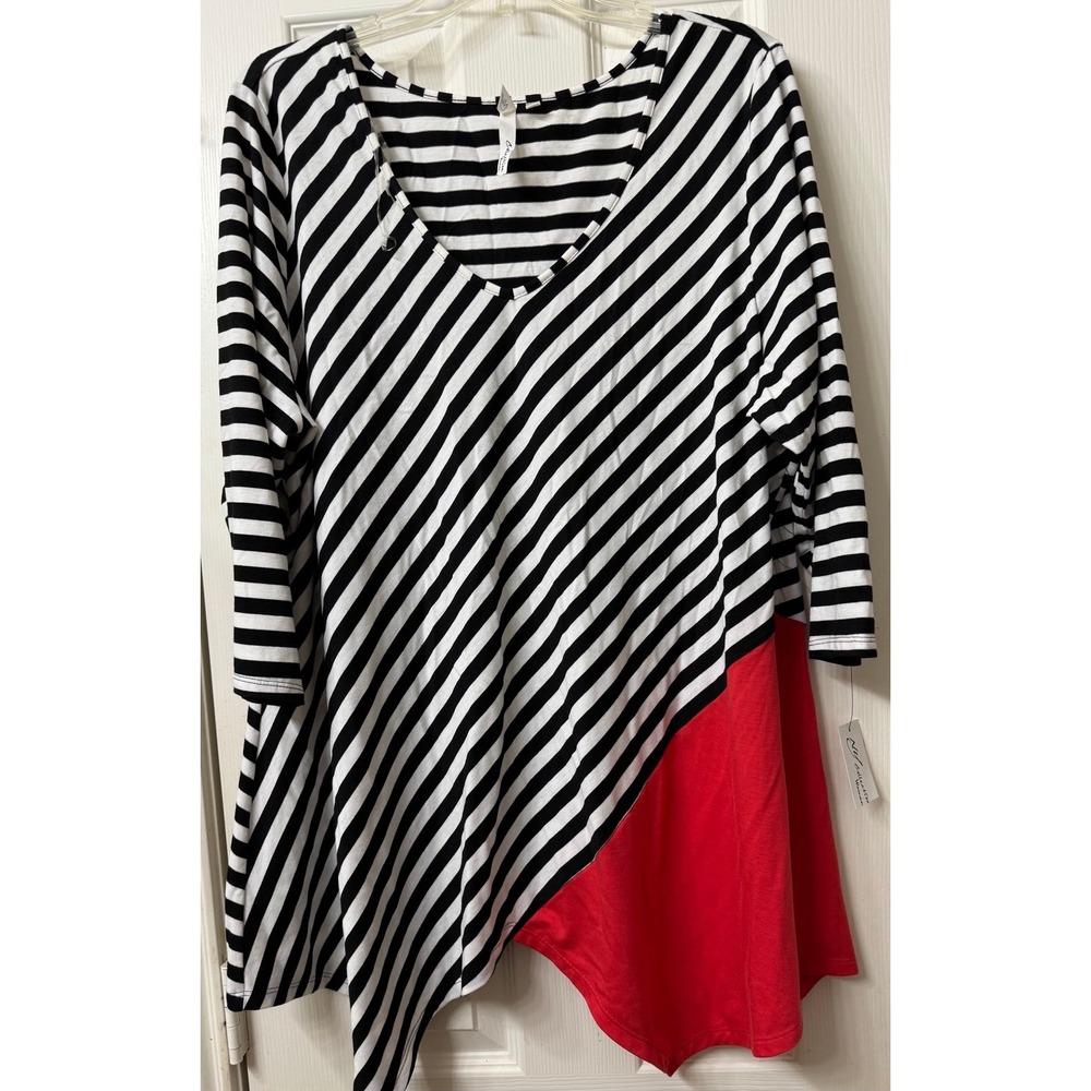 NY Collection Black and White Striped Blouse with Red Accent